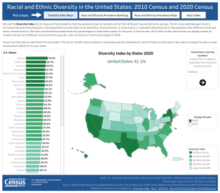Screenshot of the Diversity Index Data Visualization. 