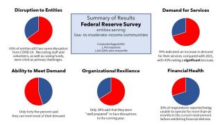 A collection of pie charts showing the findings of the Federal Reserve Survey.