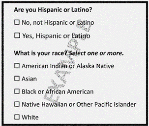Example of the federal agency questionnaire on race on ethnicity. 